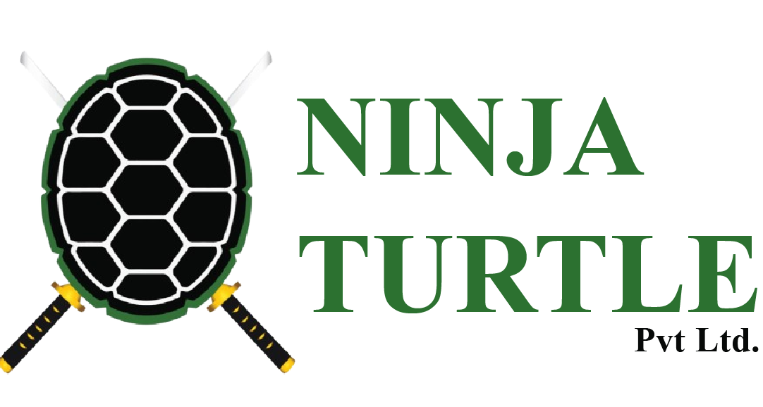 Ninja Turtle